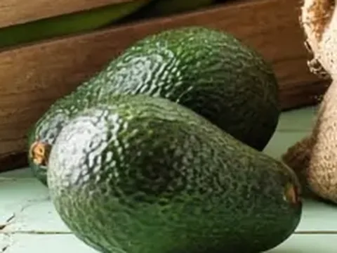 Aguacates