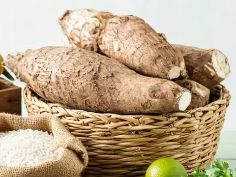 Yuca